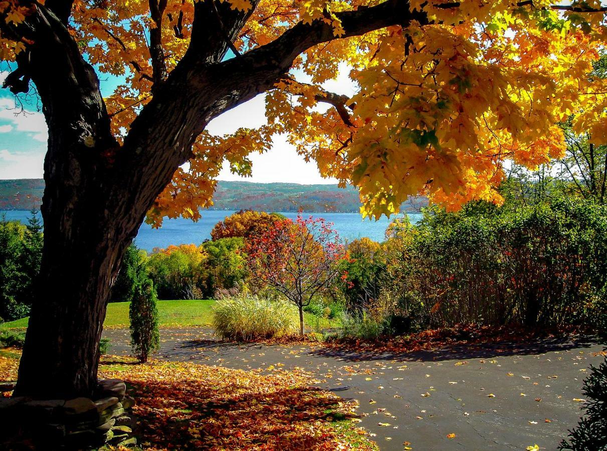 Moonshadow B&B Hammondsport Bagian luar foto